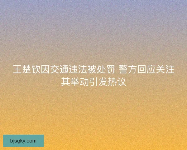 王楚钦因交通违法被处罚 警方回应关注其举动引发热议