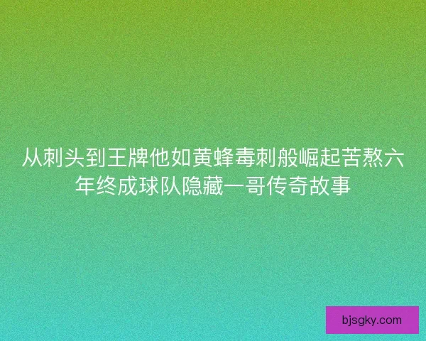 从刺头到王牌他如黄蜂毒刺般崛起苦熬六年终成球队隐藏一哥传奇故事